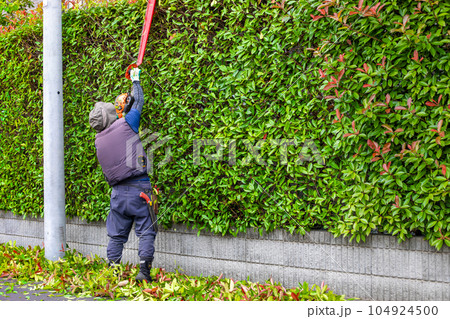 植木屋・造園業者の剪定作業 104924500