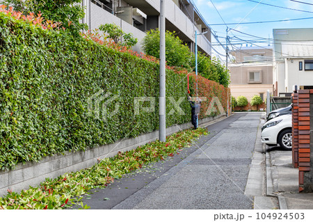 植木屋・造園業者の剪定作業 104924503