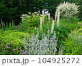 ガーデンの花 104925272