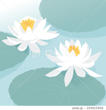 水に浮かぶ白い睡蓮のイラスト 水に浮かぶ白い睡蓮のイラスト 104925608