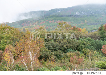 十勝岳 望岳台の雪と紅葉 十勝岳 望岳台の雪と紅葉 104925816