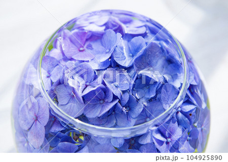 フラワーベースと紫陽花 104925890