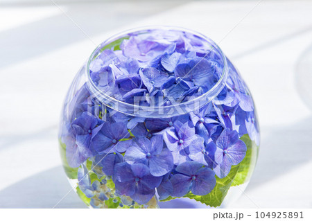 フラワーベースと紫陽花 104925891