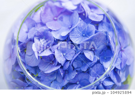 フラワーベースと紫陽花 104925894
