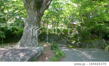 郷土文化館分館　松永記念館・老欅荘 104926379