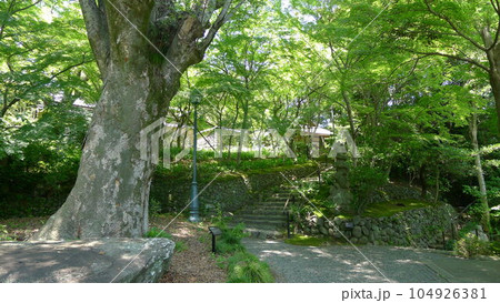郷土文化館分館 松永記念館・老欅荘 郷土文化館分館 松永記念館・老欅荘 104926381