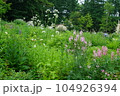 ガーデンの花 104926394