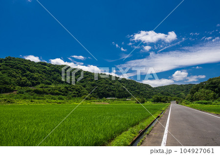 愛川町の田園風景　夏の風景　長閑な景色 104927061