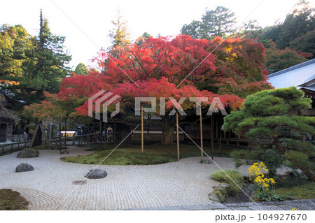 お寺の紅葉風景 お寺の紅葉風景 104927670