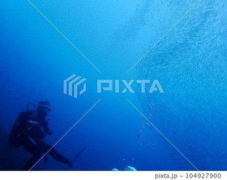 五島の綺麗な海でダイビング 五島の綺麗な海でダイビング 104927900