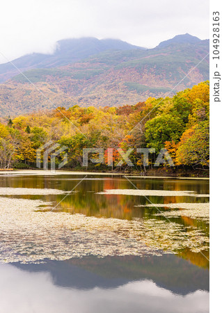 北海道知床五胡の秋の風景 北海道知床五胡の秋の風景 104928163