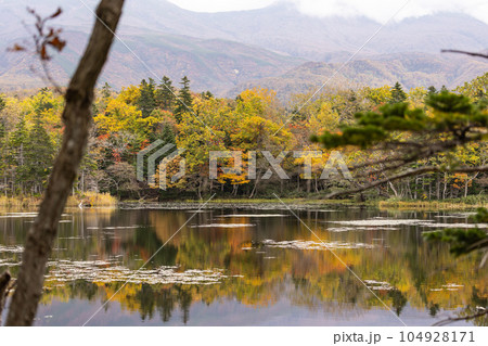 北海道知床五胡の秋の風景 北海道知床五胡の秋の風景 104928171