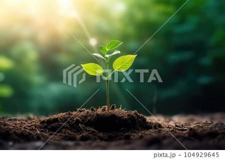 Seedling are growing from the rich soil. Concept of business growth, profit, development and success. Generative AI 104929645