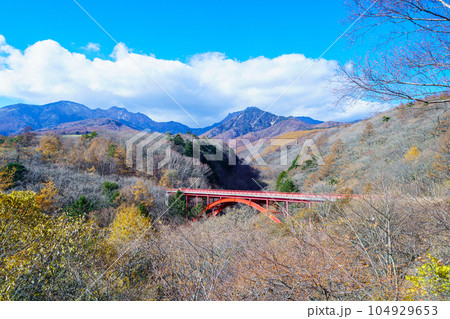 「山梨県」晩秋の紅葉に染まる東沢大橋と八ヶ岳　北杜市 104929653