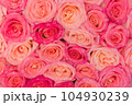 Stack of pink rose bouquet . 104930239