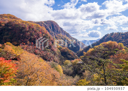 空撮「栃木県」紅葉した日光の山々の風景 空撮「栃木県」紅葉した日光の山々の風景 104930937