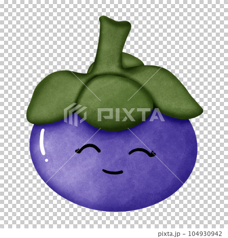 Mangosteen  104930942