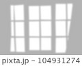 Overlay shadow from windows, openings and tropical plants. 104931274