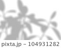 Overlay shadow from windows, openings and tropical plants. 104931282