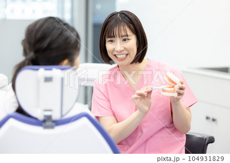 歯科医　診察する歯科医 104931829
