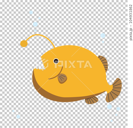 Anglerfish in the water 104931862