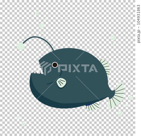 藍色琵琶魚 藍色琵琶魚 104931863