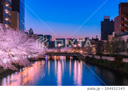 東京リバーサイドのライトアップの夜桜 門前仲町 東京リバーサイドのライトアップの夜桜 門前仲町 104932143