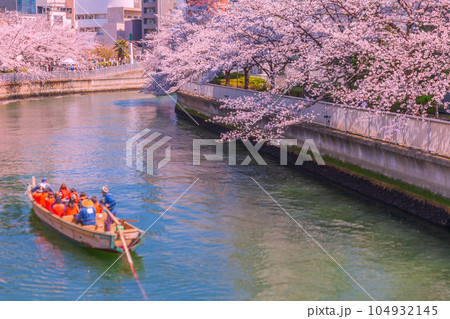 東京リバーサイドの桜並木　門前仲町 104932145