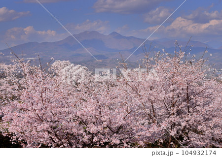 山梨県韮崎市神山町鍋山　川沿いの桜並木の満開のソメイヨシノと奥の山々の稜線の景色 104932174