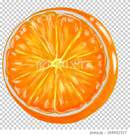 Orange isolated on a white background  104932527