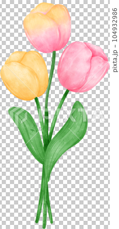 vibrant bouquet of yellow tulip flowers  in a delightful watercolour hand drawing 104932986