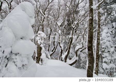 比婆山御陵雪景色 モンスター 比婆山御陵雪景色 モンスター 104933189