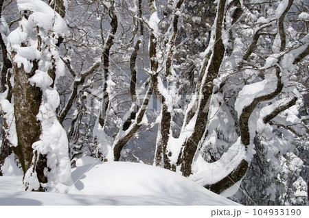 比婆山御陵雪景色 104933190
