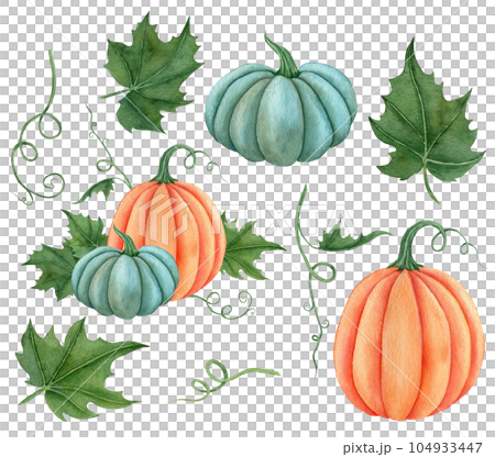 Watercolor set of pumpkins orange, blue colors with leaves. Hand drawn illustration vegetable for the design of signage, agribusiness logo, banner with organic food, healthy brand labels. 104933447