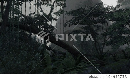 scene looking straight into a dense tropical rain forest scene looking straight into a dense tropical rain forest 104933758