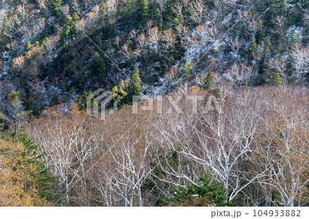 晩秋の黒岳からのニセイカウシュッペ山 晩秋の黒岳からのニセイカウシュッペ山 104933882
