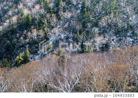 晩秋の黒岳からのニセイカウシュッペ山 104933883
