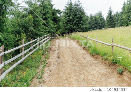 The old rocky soil road in the mountains for walking people and for driving on off -road cars The old rocky soil road in the mountains for walking people and for driving on off -road cars 104934354