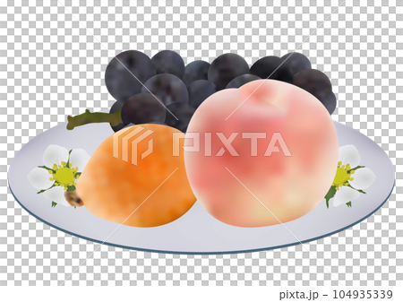 お皿に盛られた夏フルーツ3種「ビワの実」「桃」「ブドウ」白皿  花柄 104935339