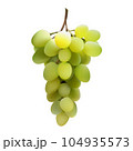 Black grape bunch isolated on white. Vector illustration of dark red grape. 104935573