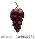 Black grape bunch isolated on white. Vector illustration of dark red grape. 104935575