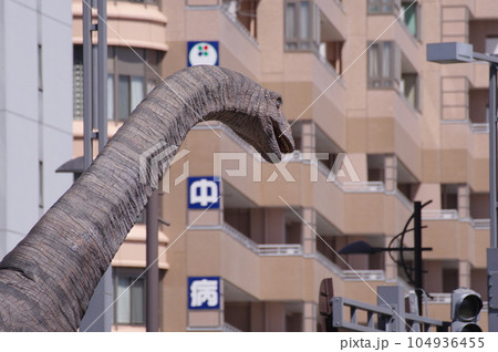福井駅前の恐竜モニュメント　フクイティタン 104936455