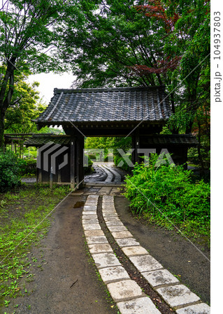 薬医門を囲む青モミジ　町田市薬師池公園 104937803