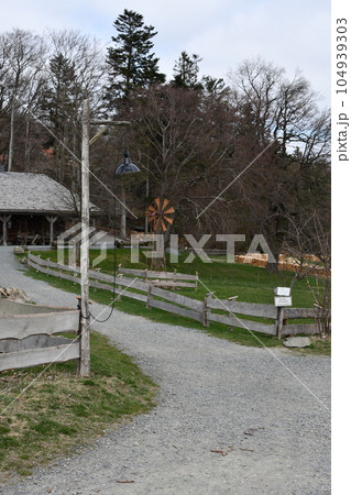 Vertical shot of an old lantern with a wooden pole in the park with leafless trees 104939303