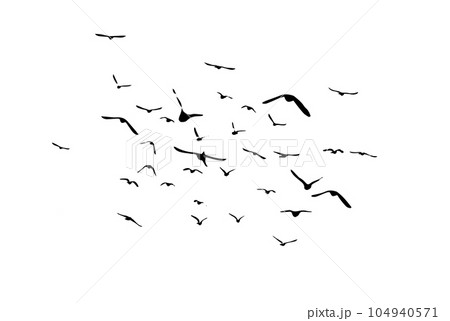 A flock of flying birds. Vector illustration A flock of flying birds. Vector illustration 104940571