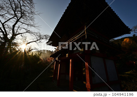 高山寺の紅葉 104941196