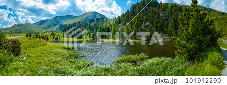 Alpine landscape 104942290