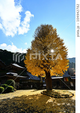 秋の宇土観音 104942782