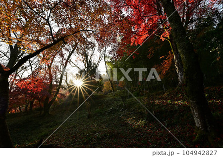 秋の常勝寺 104942827