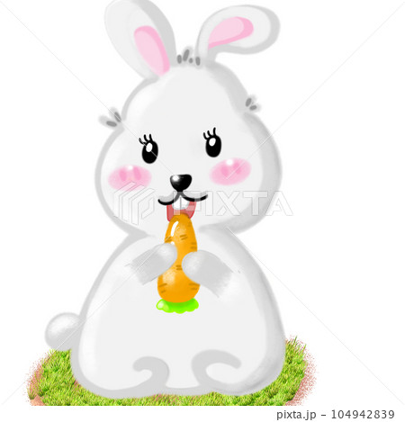 bunny isolated on a white background  104942839
